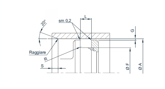 GUARNIZIONI ENERGIZZATE  BBD srl Valve Components