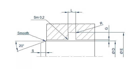 Rotary Shaft Seal Rotoslipper image