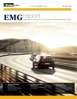 pdf 2019-11 EMG-Report image