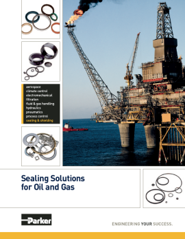 pdf 06 Oil and Gas - Parker Solutions image