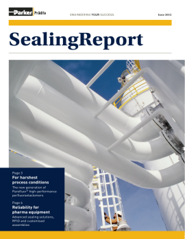 pdf 2012-06 SealingReport GB image