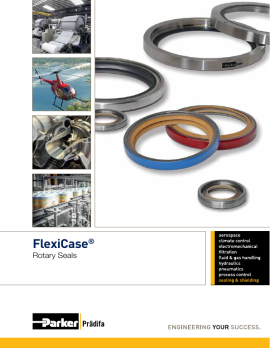 pdf 09-FlexiCase PDE3023-EN image