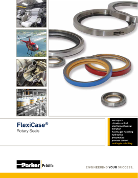pdf FlexiCase PDE3023-EN image