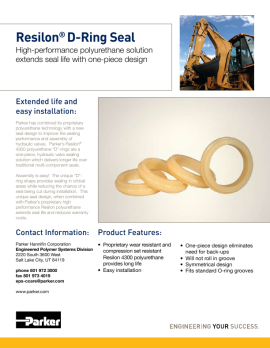 pdf 11 D-Ring Brochure 5255 image